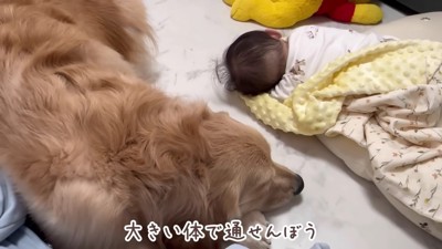 帰ったらほのかちゃんの見守り！