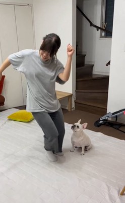 ダンスする高校生を見つめる小型犬