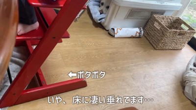 パパさんとママさんが気付いて爆笑