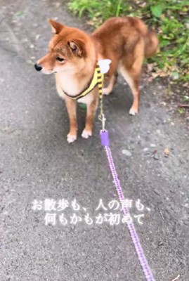 何もかもが初めて