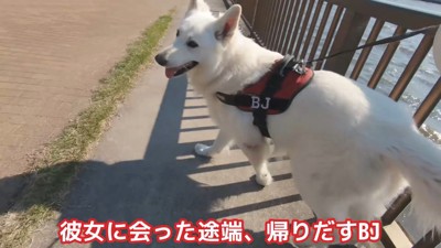 BJくんが彼女さんに気づくか検証9