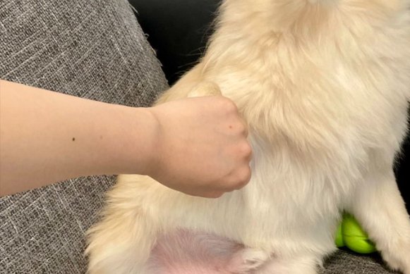 恋に落ちる音がした──