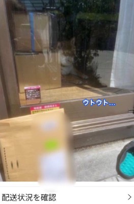 ウトウトしていることも…