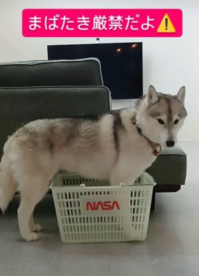 「どう?」