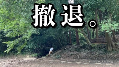 川から出て、山へ撤退(笑)