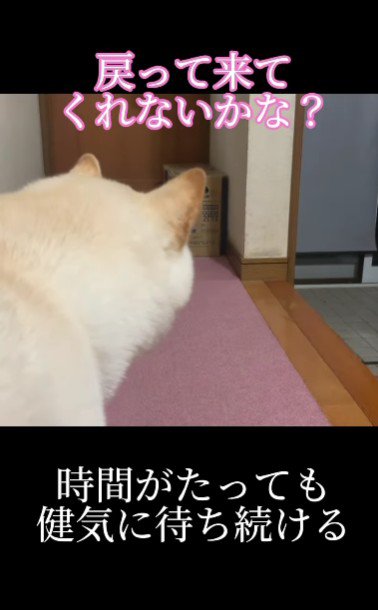 戻ってくるかもしれない…