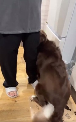 ママにスリスリするテールちゃん