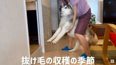 お風呂場へ連行される文太くん