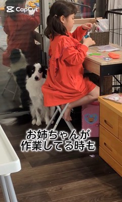 作業中のお姉ちゃんとアグちゃん2