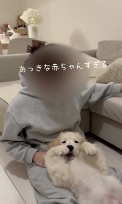 おっきな赤ちゃん