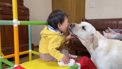 サンちゃんがお顔をペロペロ♡