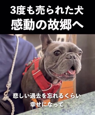 楽しそうな表情