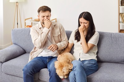 犬と鼻をつまむ男女