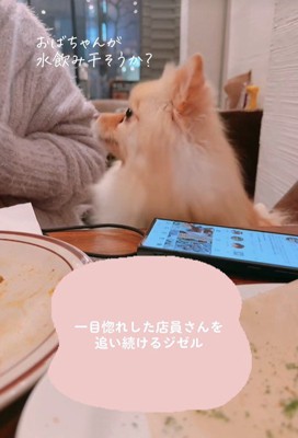 店員さんを呼ぼうとしてくれるお友達