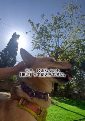 嬉しそうなあい君