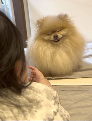 ニコニコ