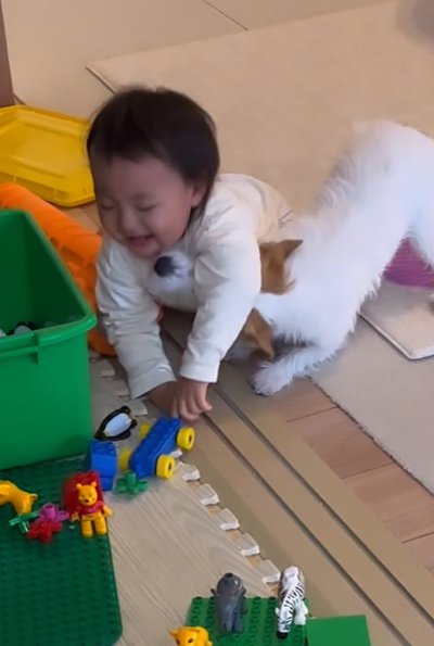 顔を突っ込む犬