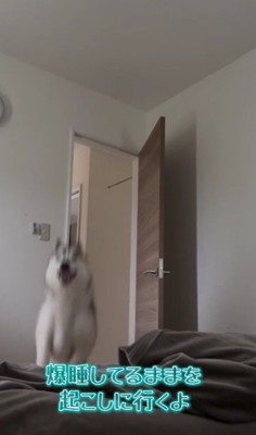 「ママ、楽しかったよ～！」