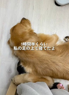 ずっと寄り添っていた