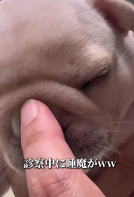 目を閉じてウトウト