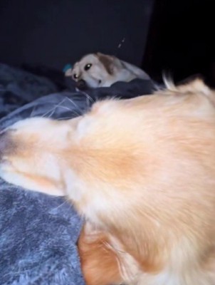 「ママ帰ってきてよかった」