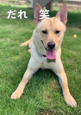 端正な見た目に！