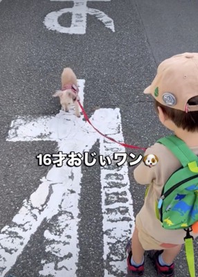 2歳の男の子と一緒にお散歩へ