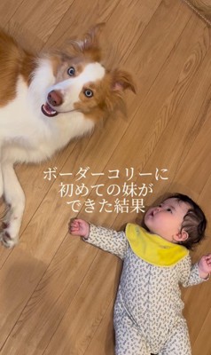 ラスカルくんと妹ちゃん