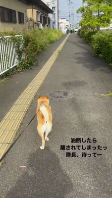 飼い主たちがいる方へ走る犬