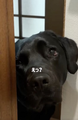 説得は難航中…