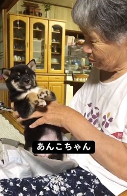 名前を呼びかけるおばあちゃん