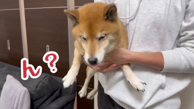 あれだけ抵抗したのに…！？