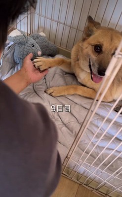 どう接していいのか分からない