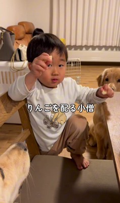 りんごをもらうモナちゃん＆ニコちゃん2