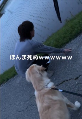 お散歩中のベイリーちゃんとパパ7