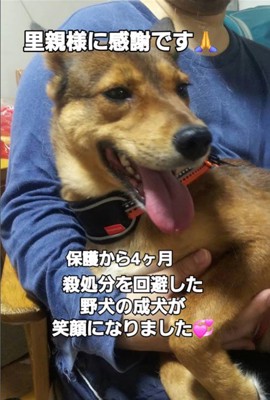 幸せを掴んだいっちゃん＆アロマちゃん⑩