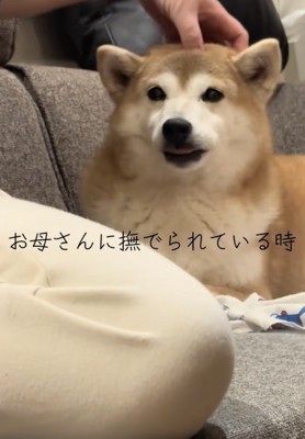 「幸せだわぁ」