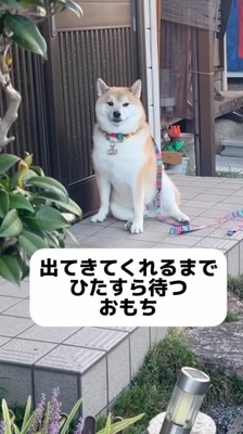 近所のおばあちゃんの家