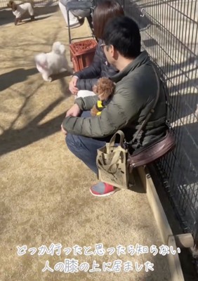 知らない人に馴染んでる