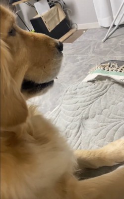 横顔のメルちゃん