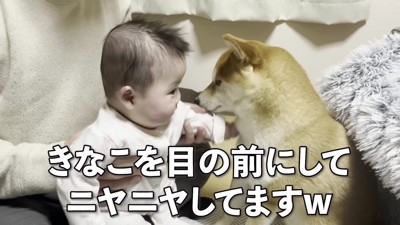 ニヤニヤが止まらない