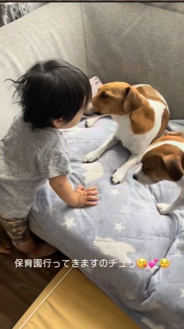 犬にキスする赤ちゃん