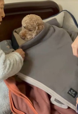 寝る前の茶々丸くんとおばあちゃん4