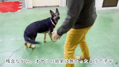まだ許してくれないようです(笑)