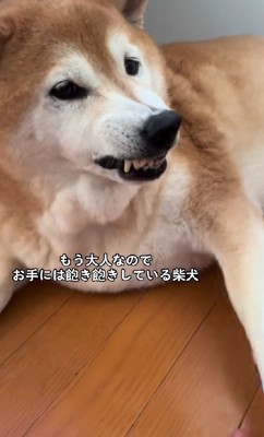 イライラの福ちゃん