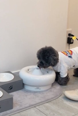 お水を飲むアイナちゃん