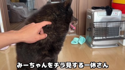 家族には仲良しでいて欲しい…