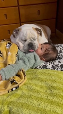 横になっている女の子の体の上にあごを乗せて眠る犬