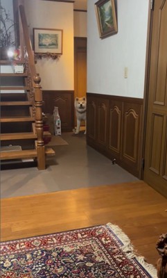 健くんの熱烈歓迎2