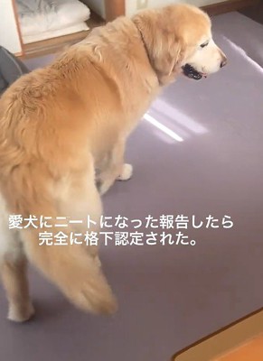 くるりと方向転換
